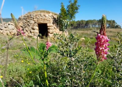 Celler Credo (Recaredo)