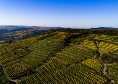 Vignoble Weingut Bründlmayer