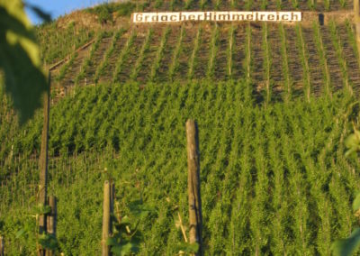 Vignoble JJ Prum