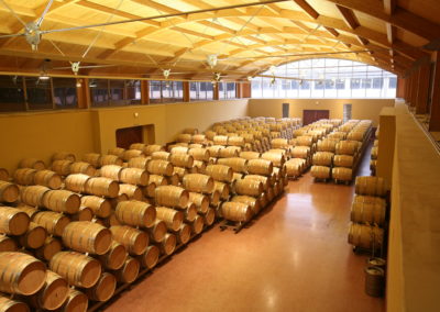 Bodega Vega Sicilia - Pintia