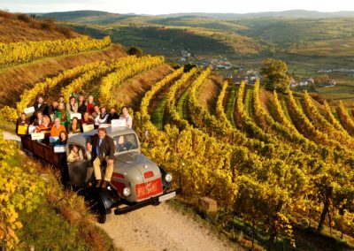 Weingut Bründlmayer