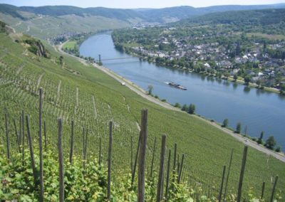 Vignoble JJ Prum