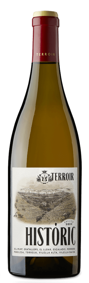 terroir-al-limit-Historic-blanc-2022-1-1