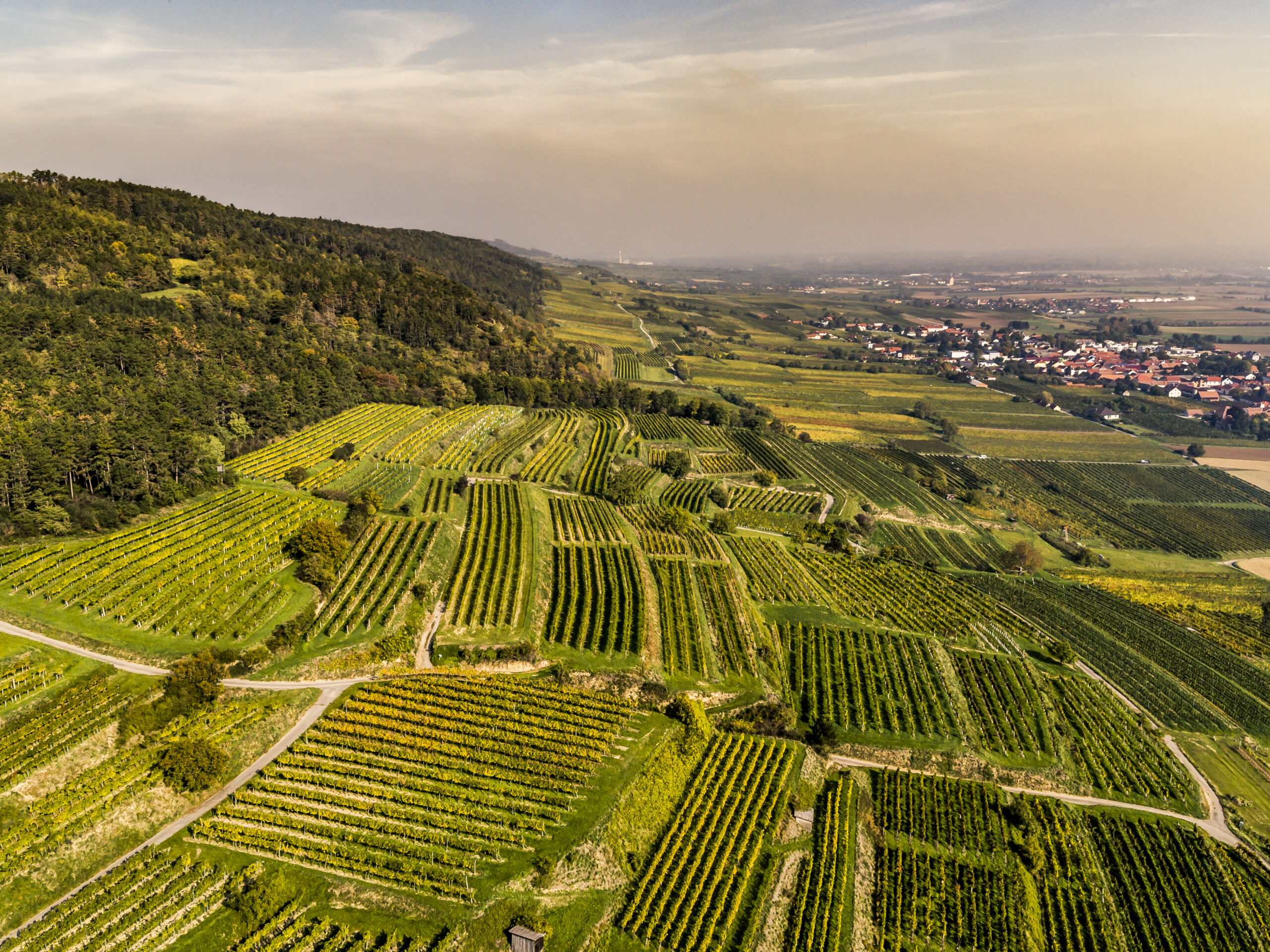 26 vineyards ©Robert Herbst Equipe Weingut Bründlmayer