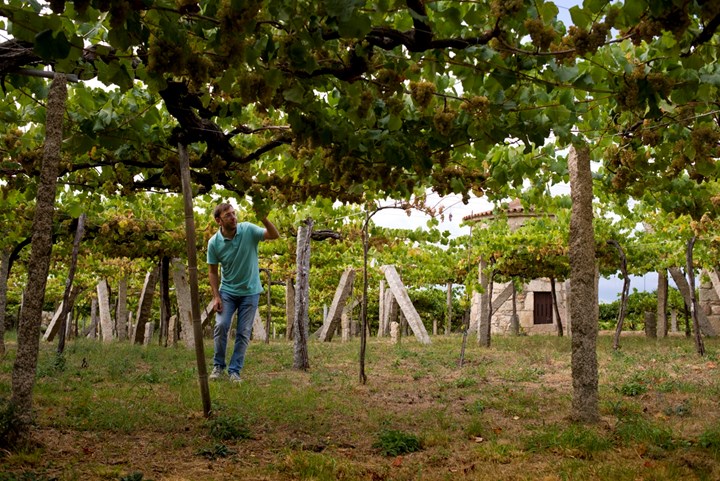 zarate palomar pergola Pablo Alvarez